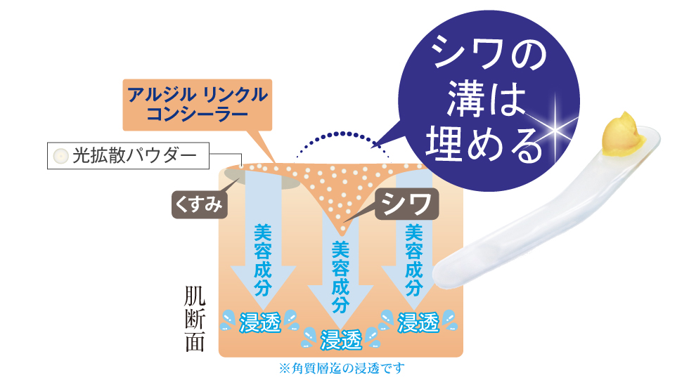 アルジルリンクルコンシーラーはシワの溝を埋めるだけでなく、配合された美容成分が角質層まで浸透します。また、光拡散パウダーでくすみも目立たなくなります。